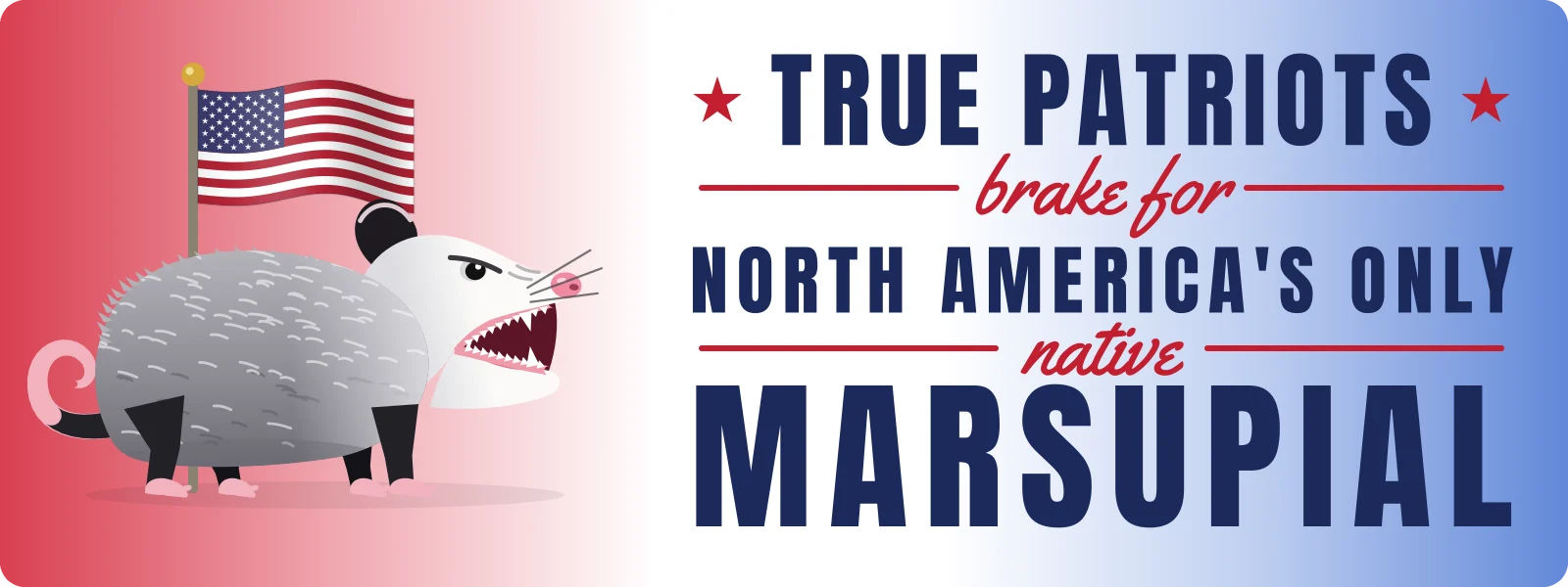 True patriots brake for North America’s only native marsupial bumper sticker: a hissing possum with a small flag on a red, white and blue fade